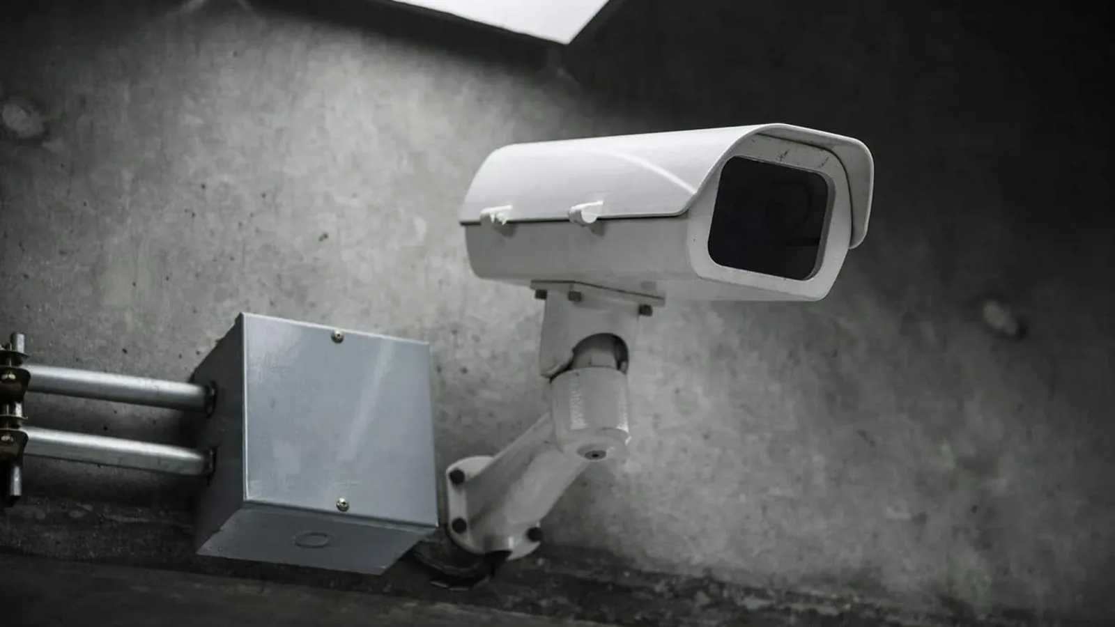 Sistema de cámaras IP con Frigate detectando objetos por inteligencia artificial