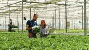 Asociación con Itokii: Un salto hacia el futuro en la industria y las empresas